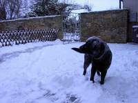 Max im Schnee