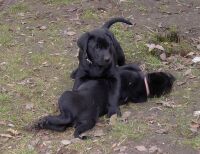 Max jr. und Nele