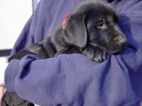 Kira auf dem Weg zu ihrer neuen Familie