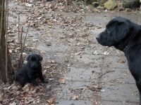 Kira und Max