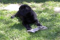 Was gibt\'s denn da?