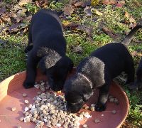 Lecker Essen