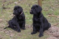 Nele und Sam